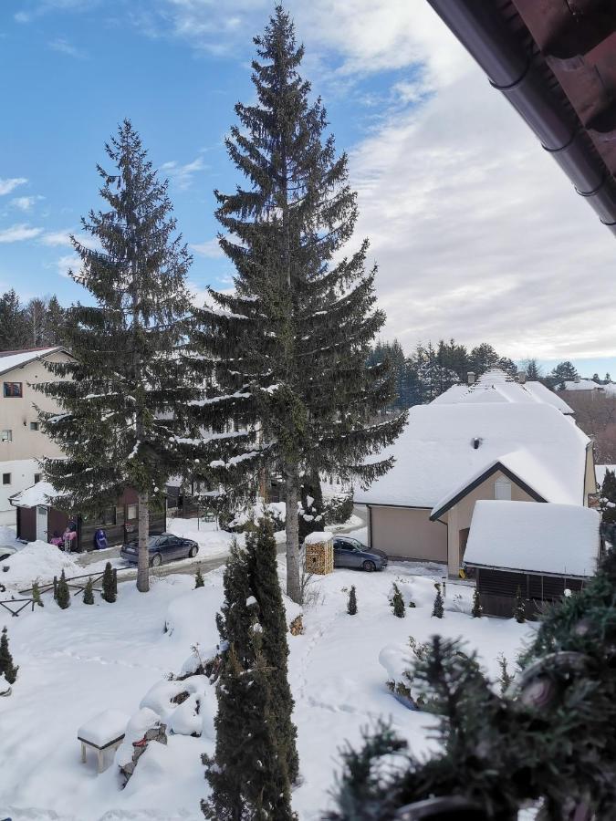 Apartament Zlatiborske Noci Zewnętrze zdjęcie