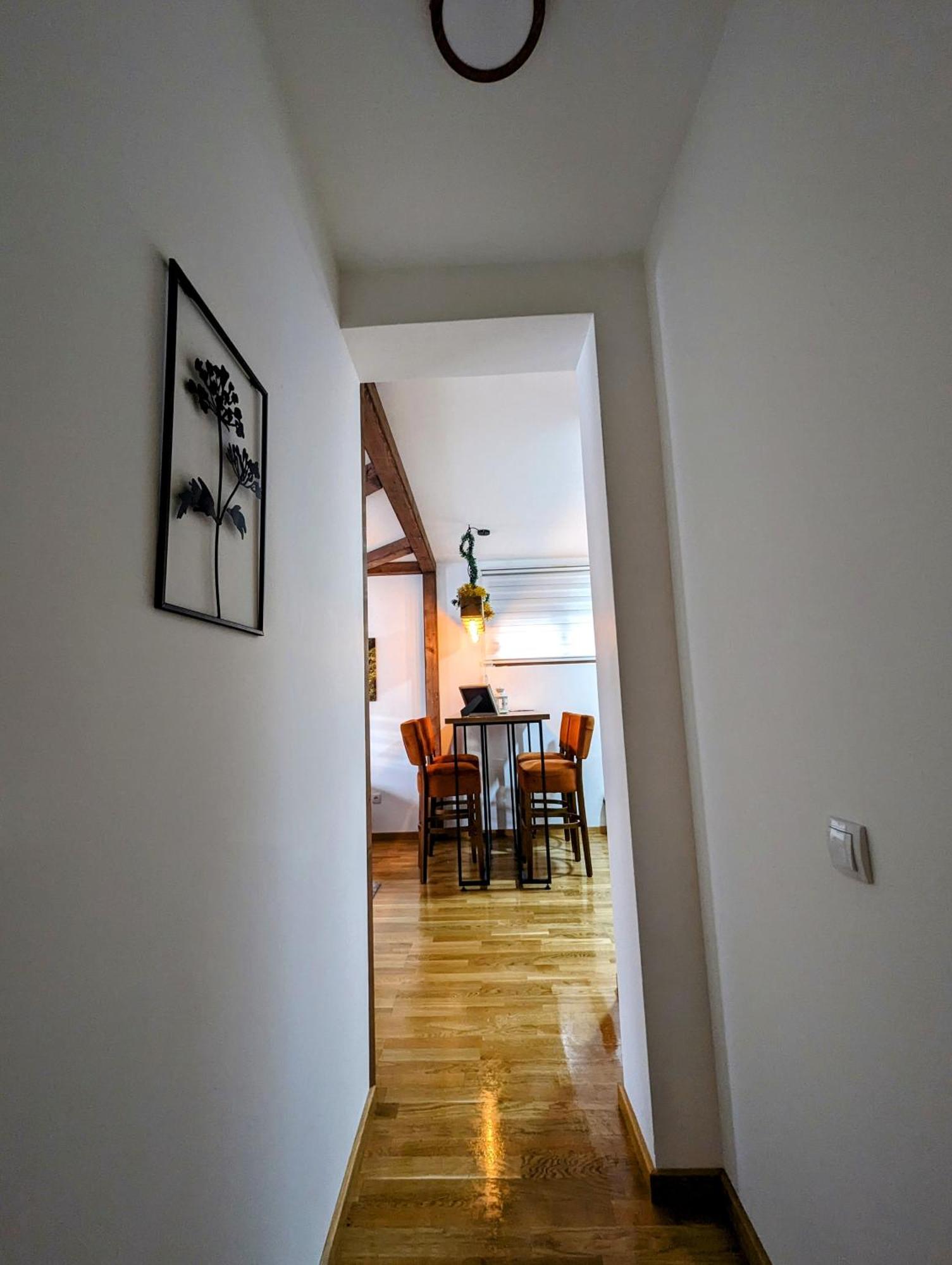 Apartament Zlatiborske Noci Zewnętrze zdjęcie